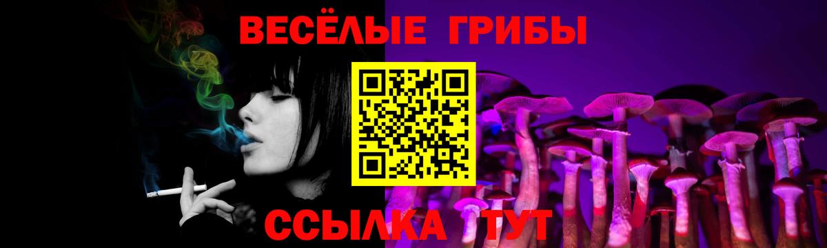 Псилоцибиновые грибы прущие грибы Октябрьский